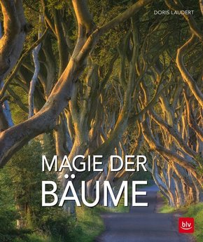 Magie der Bäume