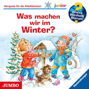 Was machen wir im Winter?, Audio-CD - Wieso? Weshalb? Warum?, Junior Tl.58