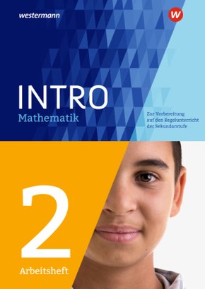 INTRO Mathematik SI - Arbeitsheft 2