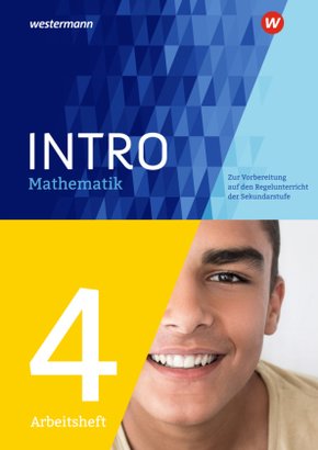 INTRO Mathematik SI - Arbeitsheft 4