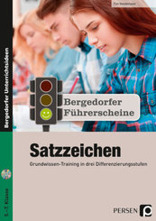 Führerschein: Satzzeichen - Sekundarstufe, m. 1 CD-ROM
