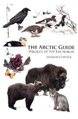 The Arctic Guide