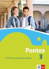 Pontes 3