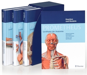 Prometheus: LernPaket Anatomie, 4 Teile