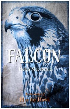 Falcon