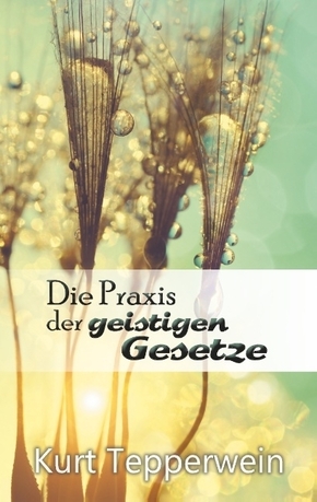 Die Praxis der geistigen Gesetze