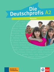 Die Deutschprofis: Wörterheft