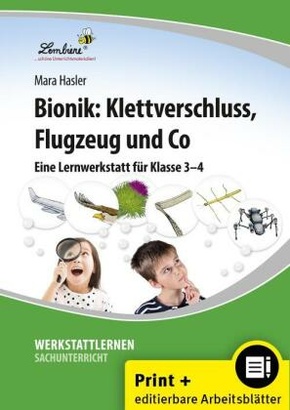 Bionik: Klettverschluss, Flugzeug und Co, m. 1 CD-ROM
