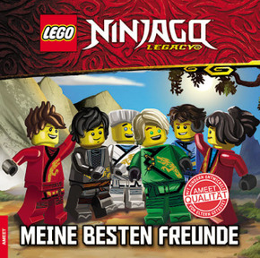 Fachbuch LEGO® Ninjago™ Duell am Himmel NEU mit über 220 Stickern 