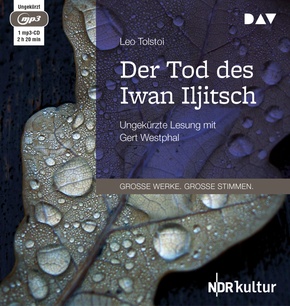 Der Tod des Iwan Iljitsch, 1 Audio-CD, 1 MP3