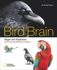 Bird Brain Vögel mit Köpfchen - Die Erforschung gefiederter Intelligenz