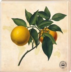 Kew Gardens - Untersetzer Motiv Orange, 2er Set