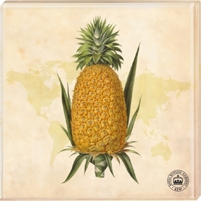 Kew Gardens - Untersetzer Motiv Ananas, 2er Set