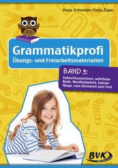 Grammatikprofi: Übungs- und Freiarbeitsmaterialien - Bd.3