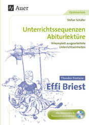 Theodor Fontane Effi Briest, m. 1 CD-ROM