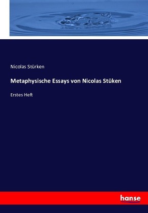 Metaphysische Essays von Nicolas Stüken