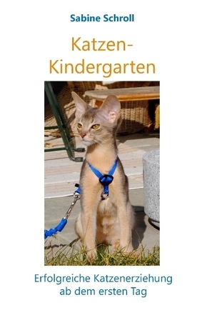 Katzen-Kindergarten