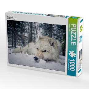 Grau wolf (Puzzle) 1000 Teile. Puzzleformat: 480 x 640 mm