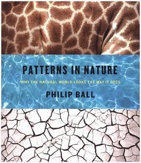 Patterns in Nature