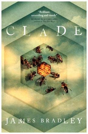 Clade