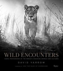 Wild Encounters