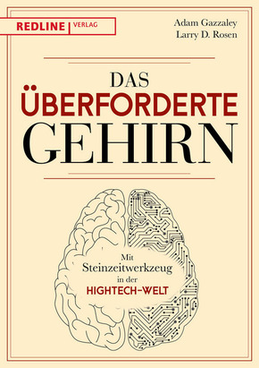 Das überforderte Gehirn - Mit Steinzeitwerkzeug in der Hightech-Welt