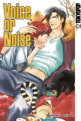 Voice or Noise - Bd.2