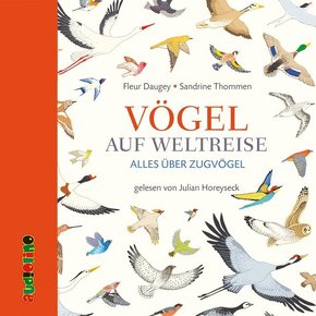 Vögel auf Weltreise, 1 Audio-CD