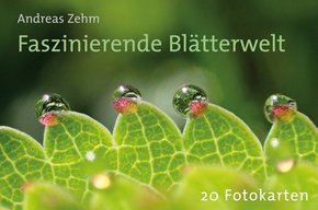 Postkartenbuch "Faszinierende Blätterwelt"