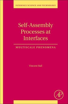 Self-Assembly Processes at Interfaces