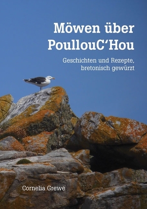 Möwen über PoullouC'Hou