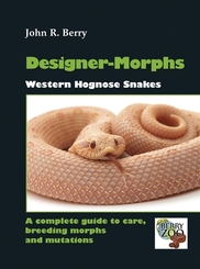 Designer Morphs - Western Hognose snakes
