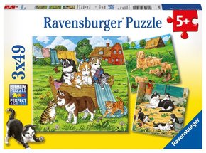 Ravensburger Kinderpuzzle - 08002 Süße Katzen und Hunde - 3 x 49 Teile. Puzzleformat: 21 x 21 cm