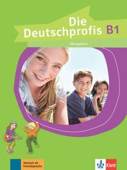 Die Deutschprofis: Übungsbuch