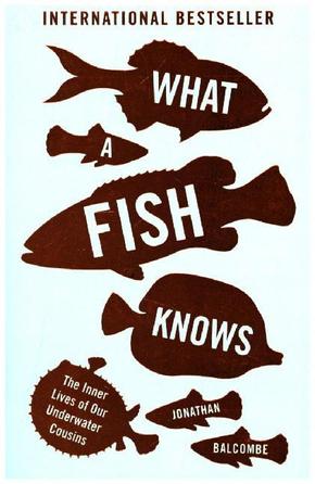 What a Fish Knows