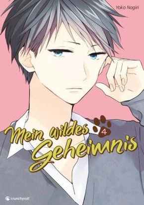 Mein wildes Geheimnis - Bd.4