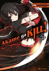 Akame ga KILL! - Bd.13