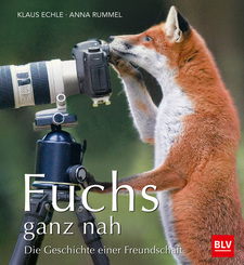 Fuchs ganz nah