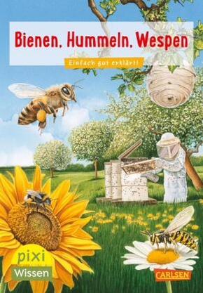 Bienen, Hummeln, Wespen (5 Expl.)