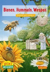 Bienen, Hummeln, Wespen (5 Expl.)