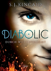 Diabolic. Durch Wut entflammt