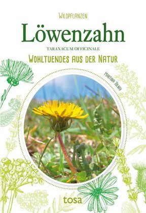 Löwenzahn - Taraxacum Officinale