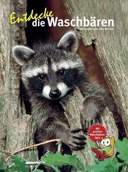 Entdecke die Waschbären