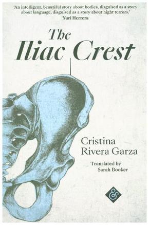 The Iliac Crest