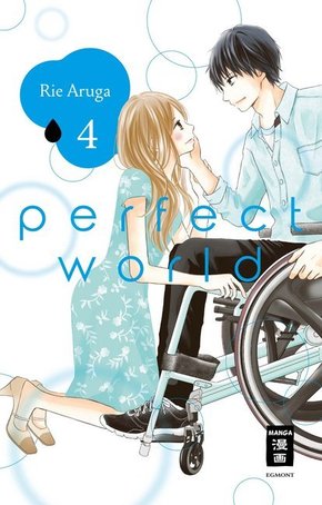 Perfect World - Bd.4