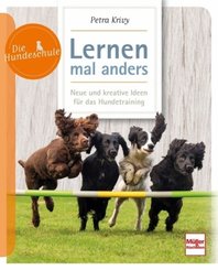 Lernen - mal anders