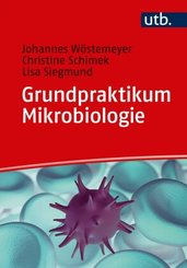 Grundpraktikum Mikrobiologie