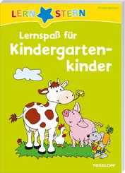 LERNSTERN Lernspaß für Kindergartenkinder