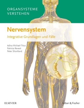 Organsysteme verstehen: Nervensystem