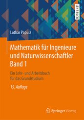 Mathematik für Ingenieure und Naturwissenschaftler: Ein Lehr- und Arbeitsbuch für das Grundstudium